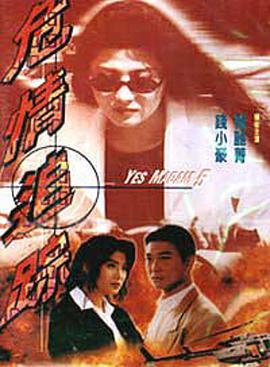 《史密斯夫妇2法版》海报